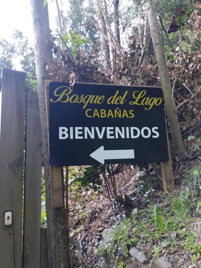 Bosque Del Lago Pucón Exteriör bild